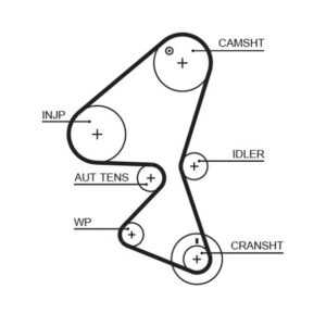 MCS Auto Champions