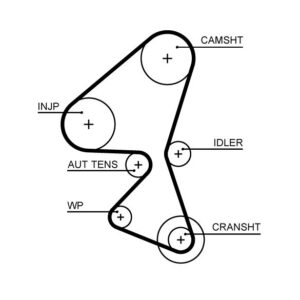 MCS Auto Champions