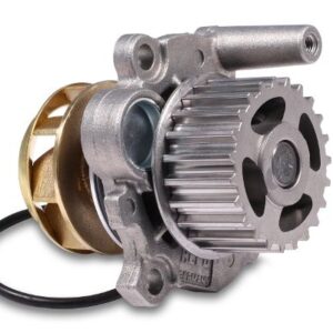 MCS Auto Champions