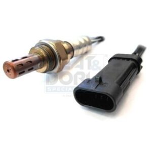 MCS Auto Champions